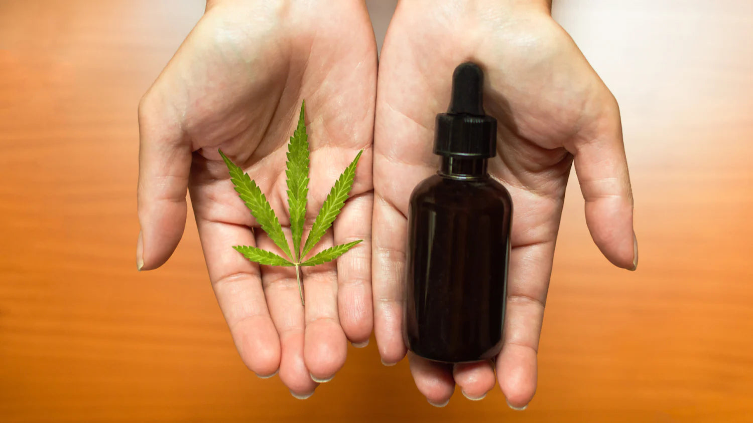Hemp plant and bottle of cbd oil with dripper