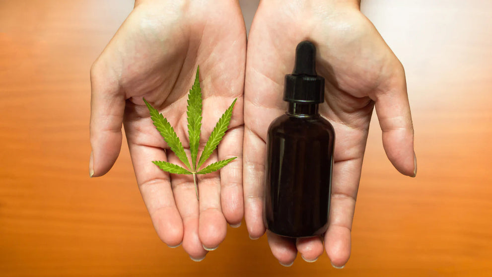 Hemp plant and bottle of cbd oil with dripper